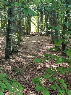 IMG20260811111429
