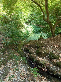 IMG20260812125204