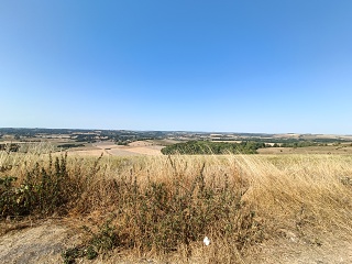 IMG20260812153159
