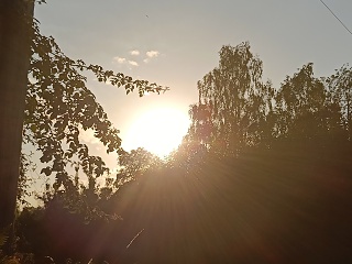 IMG20260812191555