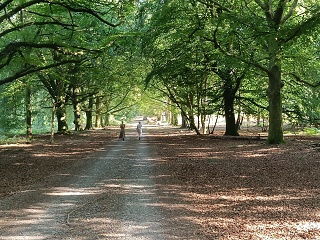 IMG20260813170220