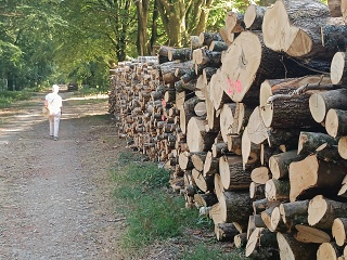 IMG20260813170433
