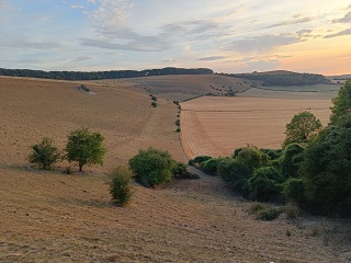IMG20260814200144