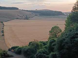 IMG20260814200151