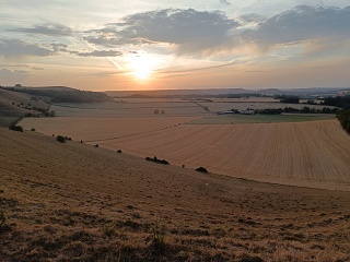 IMG20260814200415